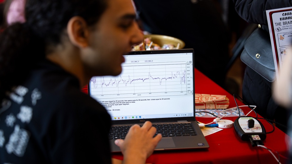 computer monitors show brain waves